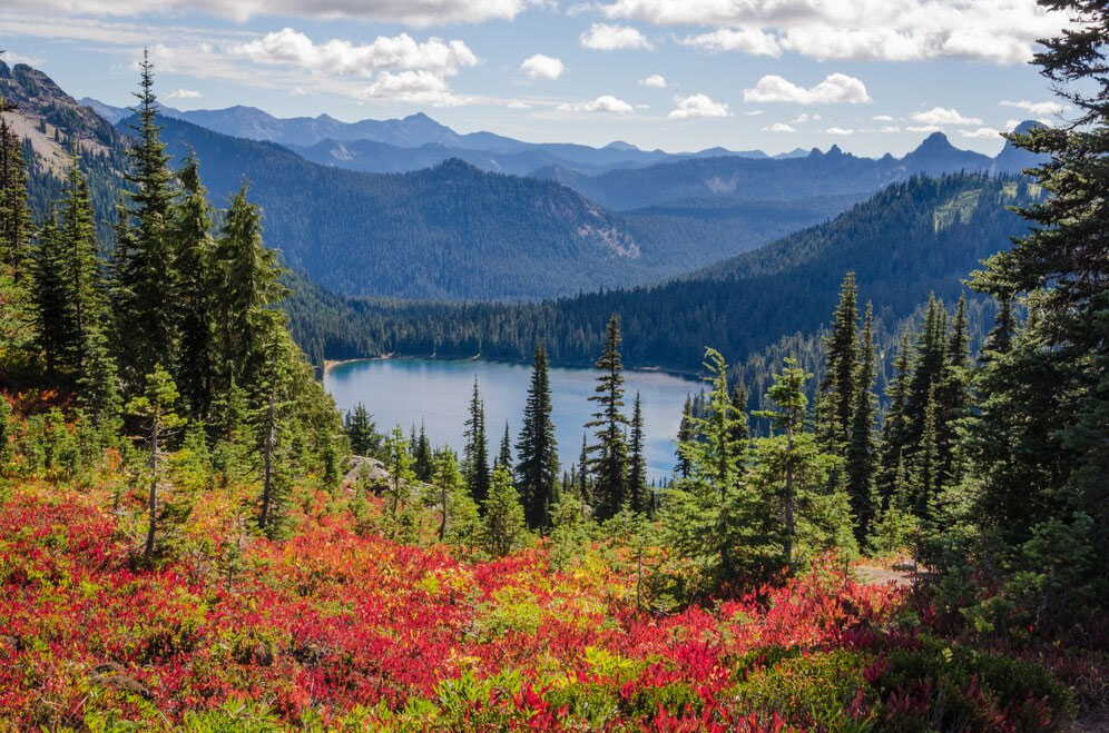 Alberta Pnp Streams - Glocal Opportunities