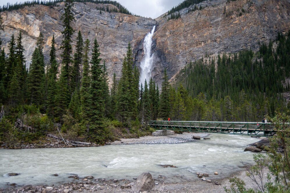 Alberta Pnp For Nurses - Glocal Opportunities