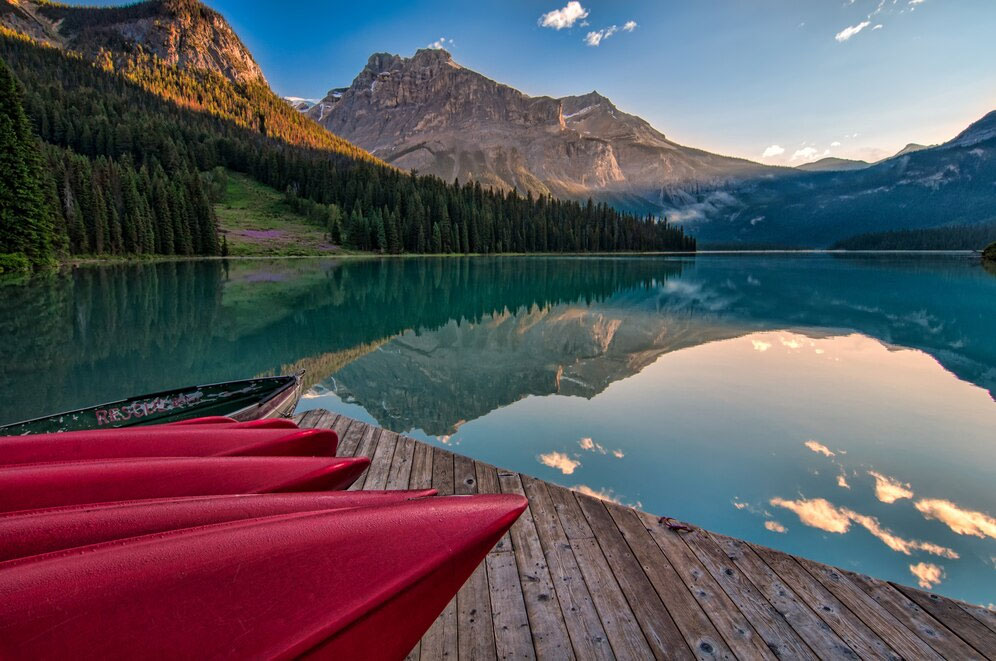 Challenges Of Applying For Alberta Pnp - Glocal Opportunities