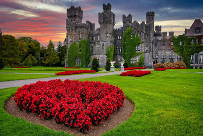 Countries Ireland Ielts - Glocal Opportunities