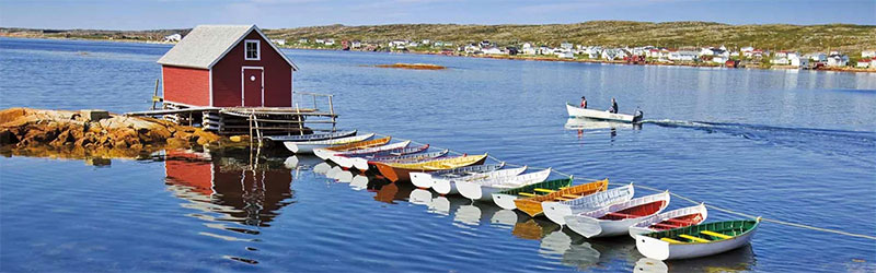 How To Enhance Your Chances Of Nl Pnp Nomination - Glocal Opportunities