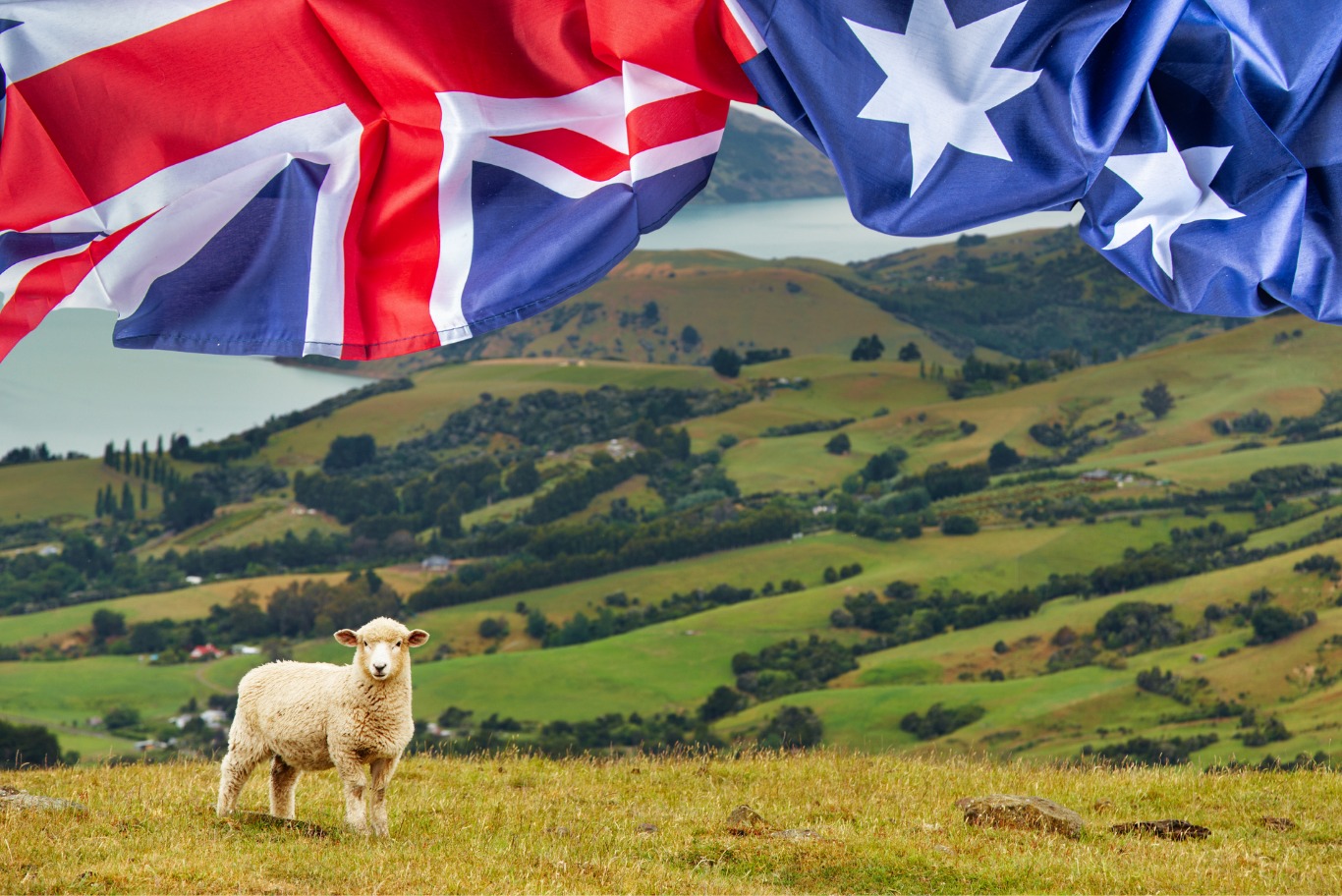 New Zealand Rolls Out Business Investor Visa, Ends Entrepreneur Route